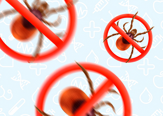   Вакцинация от клещевого энцефалита